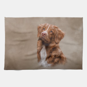 Linge De Cuisine Chien de la Nouvelle-Écosse pour l'extraction du 
