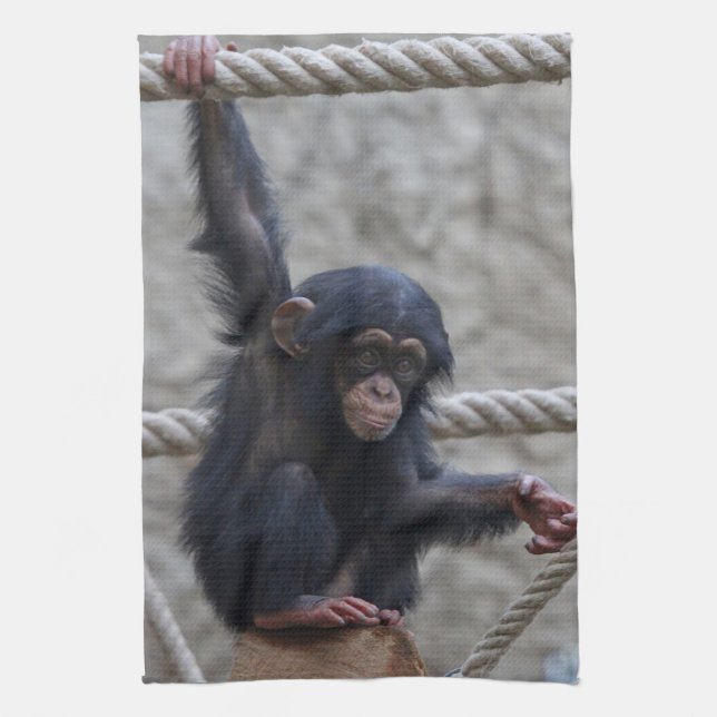 Linge De Cuisine Chimpanzé 017 (Vertical)