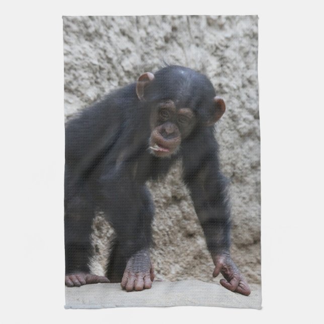 Linge De Cuisine Chimpanzé 031 (Vertical)