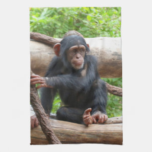 Linge De Cuisine Chimpanzée 001