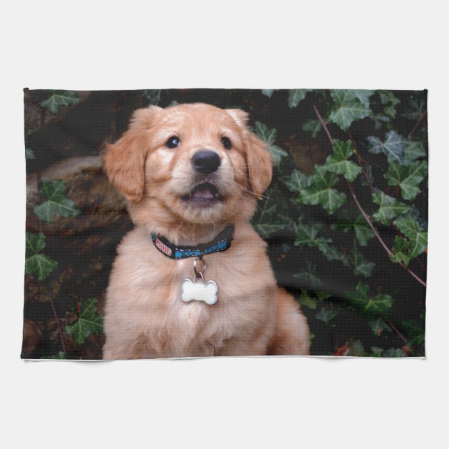 Linge De Cuisine Chiot Golden Retriever (Horizontal)