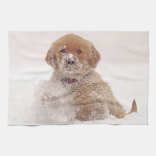 Linge De Cuisine Chiots Golden Retriever dans la neige
