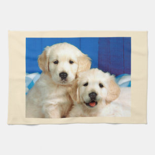 Linge De Cuisine chiots Labrador 