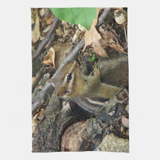 Linge De Cuisine Chipmunk oriental - Tamias striatus (Vertical)