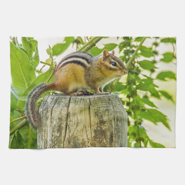 Linge De Cuisine Chipmunk sur un poteau de clôture (Horizontal)