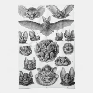 Linge De Cuisine Chiroptera de Haeckel