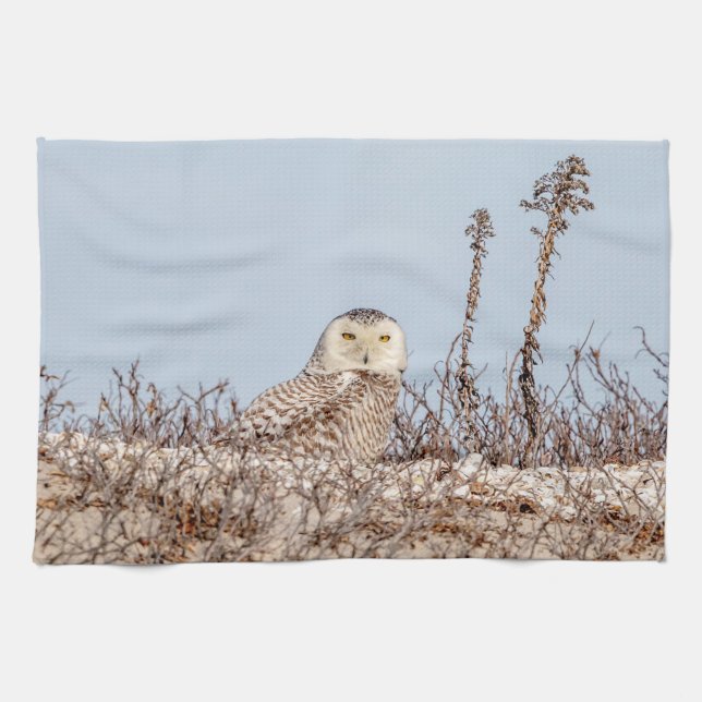 Linge De Cuisine Chouette neige assise sur la plage (Horizontal)