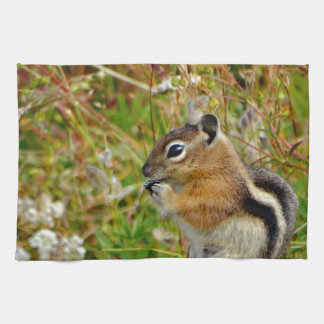 Linge De Cuisine Chubby mignon chipmunk sur la souche de bois