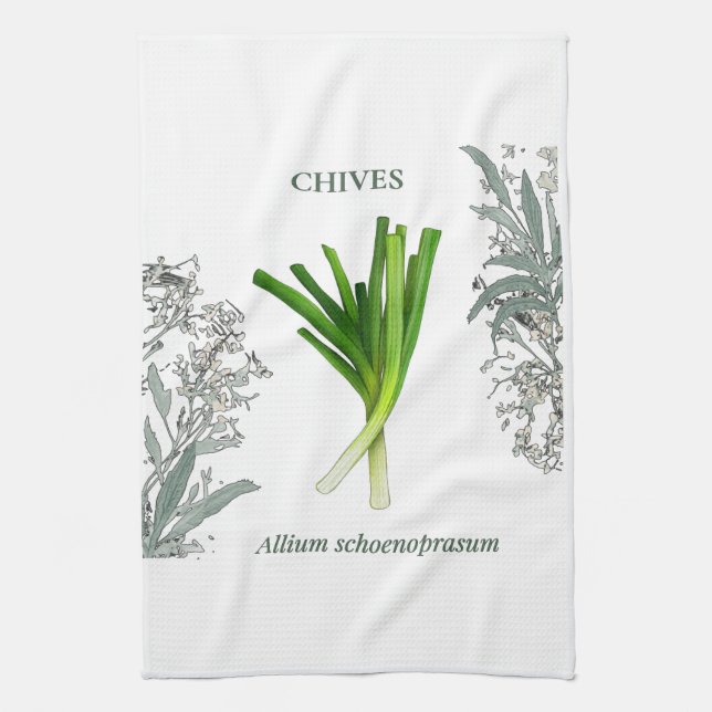Linge De Cuisine Ciboulette — Allium schoenoprasum (Vertical)