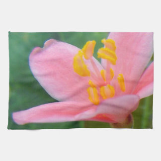 Linge De Cuisine Closeup de fleurs de jatropha