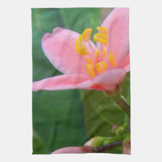 Linge De Cuisine Closeup de fleurs de jatropha