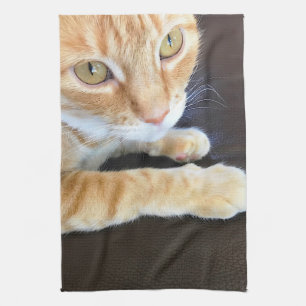 Linge De Cuisine Closeuse de chat orange