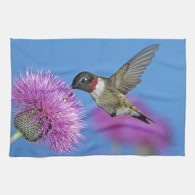 Linge De Cuisine Colibri à gorge rubis (Horizontal)