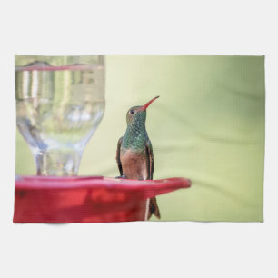 Linge De Cuisine Colibri à ventre cassé au Texas