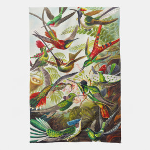 Linge De Cuisine Colibri Vintage par Ernst Haeckel