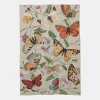 Collection de la papillon Moth Nature Dessin