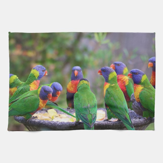 Linge De Cuisine Colorful Rainbow Lorikeet Parrots Eating (Horizontal)