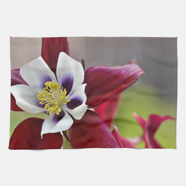Linge De Cuisine Columbine.JPG (Horizontal)