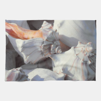 Linge De Cuisine Coques de mer dans la lumière du soleil et l'ombre