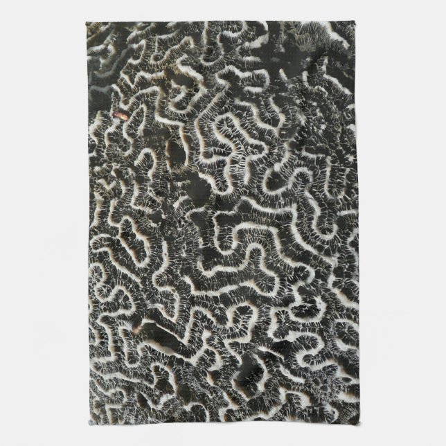 Linge De Cuisine Corail noir et blanc II Abstrait Nature Photo (Vertical)