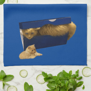 Linge De Cuisine "Cosy Hideaway : The Ginger Cat in the Shoe Box"