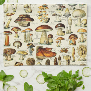 Linge De Cuisine Cottagecore Champignons Naturaliste Vintage
