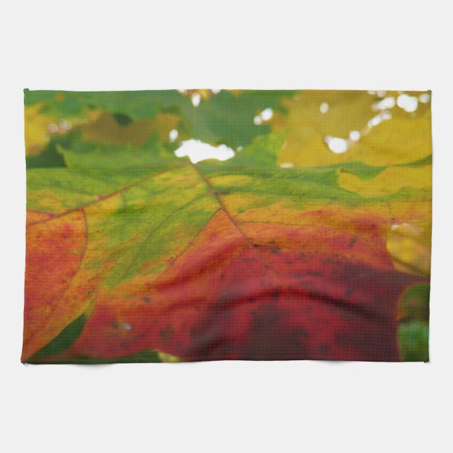 Linge De Cuisine Couleurs de la feuille d'érable Photographie de la (Horizontal)