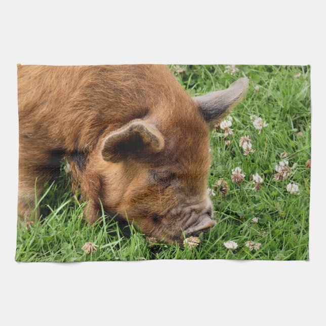 LINGE DE CUISINE COUPER (Horizontal)