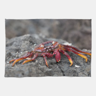 Linge De Cuisine Crabe rouge