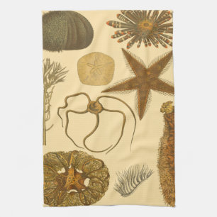 Linge De Cuisine Créatures sous-marines de mer