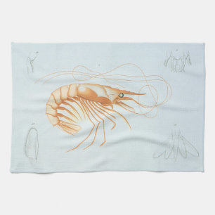 Linge De Cuisine Crevettes vintages, Vie Marine Animaux de l'océan