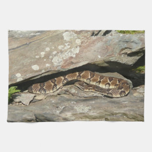 Linge De Cuisine Crotale dans le parc national de Shenandoah