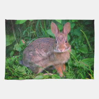 Linge De Cuisine Cute Wild Brown Rabbit Faune 