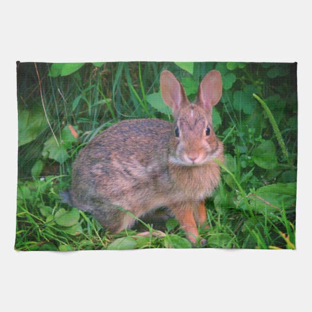 Linge De Cuisine Cute Wild Brown Rabbit Faune  (Horizontal)