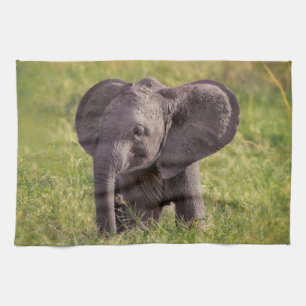 Linge De Cuisine Cutest Baby Animals Baby Elephant Kenya Africa