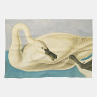 Cygne trompette par John James Audubon, Oiseau Vin