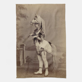 Linge De Cuisine Daguerréotype victorien/photo de costume de cheval