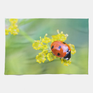 Linge De Cuisine dame sur le dessus