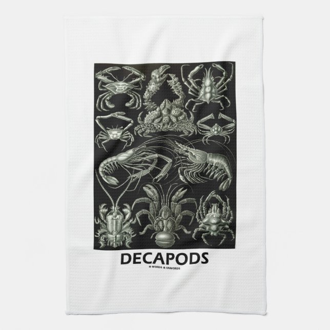 Linge De Cuisine Décapodes Ernest Haeckel Artforms de nature (Vertical)