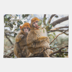 Linge De Cuisine Deux Mignons singes