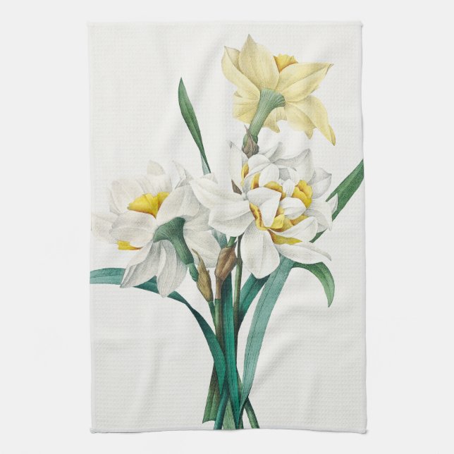 Linge De Cuisine Double Narcisse,  Pierre-Joseph Redouté, 1827 (Vertical)