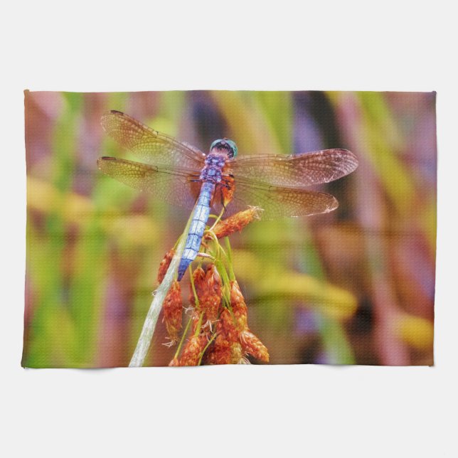 Linge De Cuisine Dragonfly turquoise sur le carex (Horizontal)