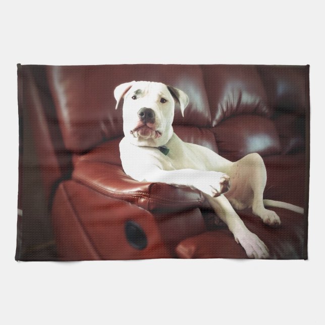 Linge De Cuisine drôle de pit bull chien sur le canapé (Horizontal)