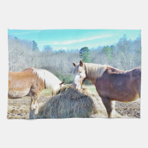 Linge De Cuisine Ébauche secourue Chevaux mangeant foin