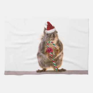 Linge De Cuisine Écureuil de Noël avec du sucre de canne