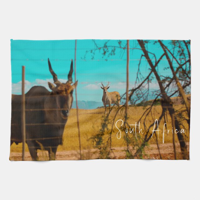 Linge De Cuisine Eland Antelope Animal Afrique du Sud ZA (Horizontal)
