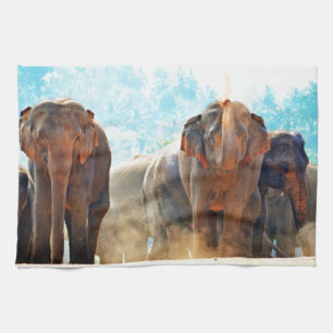 Linge De Cuisine Eléphants Animaux Safari Destinée Paix Amour