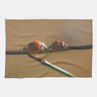 Linge De Cuisine Embrasser Les Poussettes Sur Une Clôture De Fil