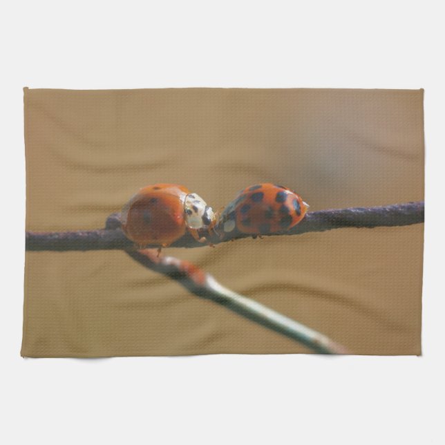 Linge De Cuisine Embrasser Les Poussettes Sur Une Clôture De Fil (Horizontal)