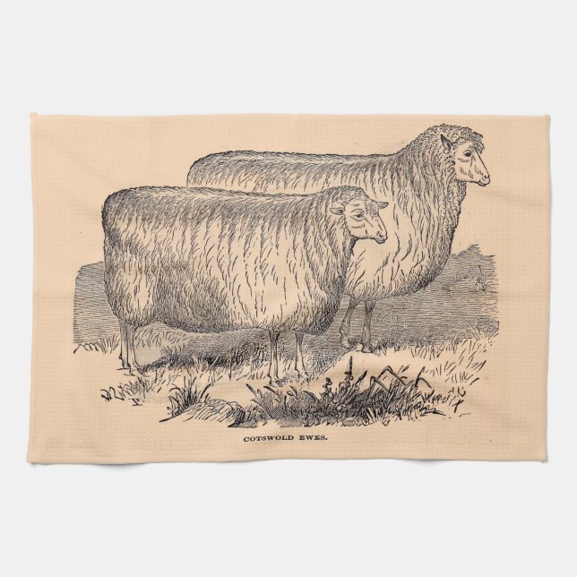 Linge De Cuisine Empreinte de brebis Cotswold du 19e siècle (Horizontal)